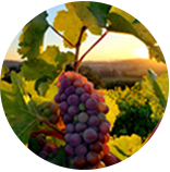 腾博官网-诚信为本,专业服务!